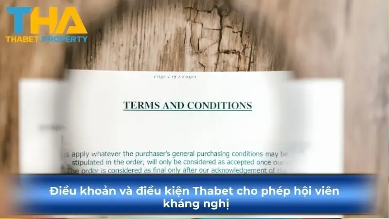 Điều khoản và điều kiện Ku88 cho phép hội viên kháng nghị