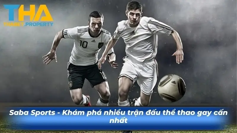 Saba Sports - Khám phá nhiều trận đấu thể ku88o gay cấn nhất