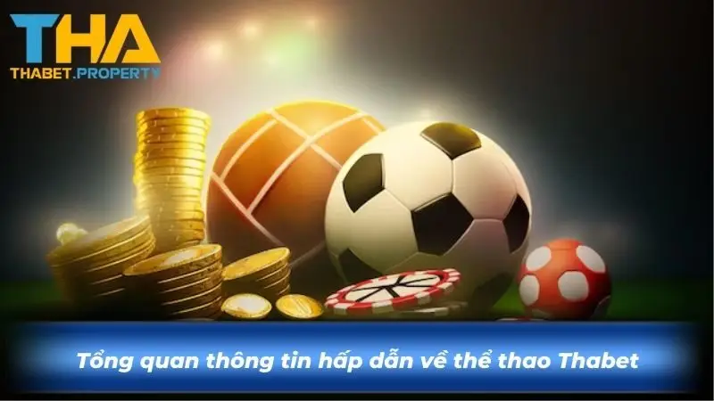 Tổng quan thông tin hấp dẫn về thể ku88o Ku88