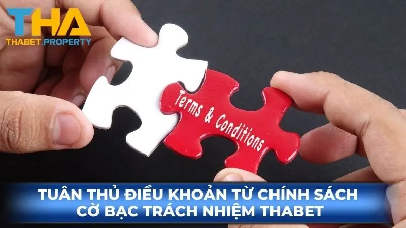 Tuân thủ điều khoản từ chính sách cờ bạc trách nhiệm Ku88